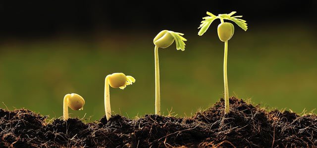 JHVinylShop - Organic Growth Is Key!