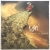 Korn - Follow The Leader (2018) 2x Vinyl LP Sealed Mint